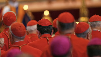 División y diversidad: 133 cardenales se preparan para elegir al sucesor del Papa Francisco 2